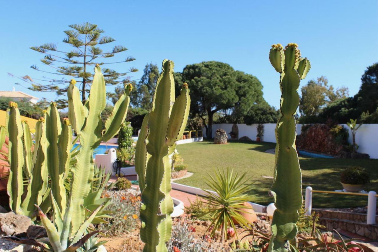 Casa Areias Boutique Apartments Albufeira Exterior foto
